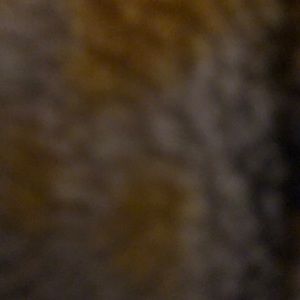 Meet your Posher, Athena